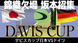 デ杯 錦織圭欠場で坂本怜追加招集