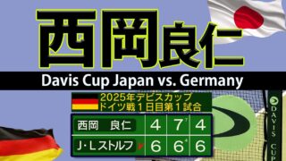 西岡デビスカップ連勝ストップ